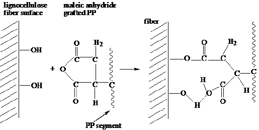 Schematic-description-of-the-grafting-of-maleic-anhydride-with-wood-Gauthier-et-al