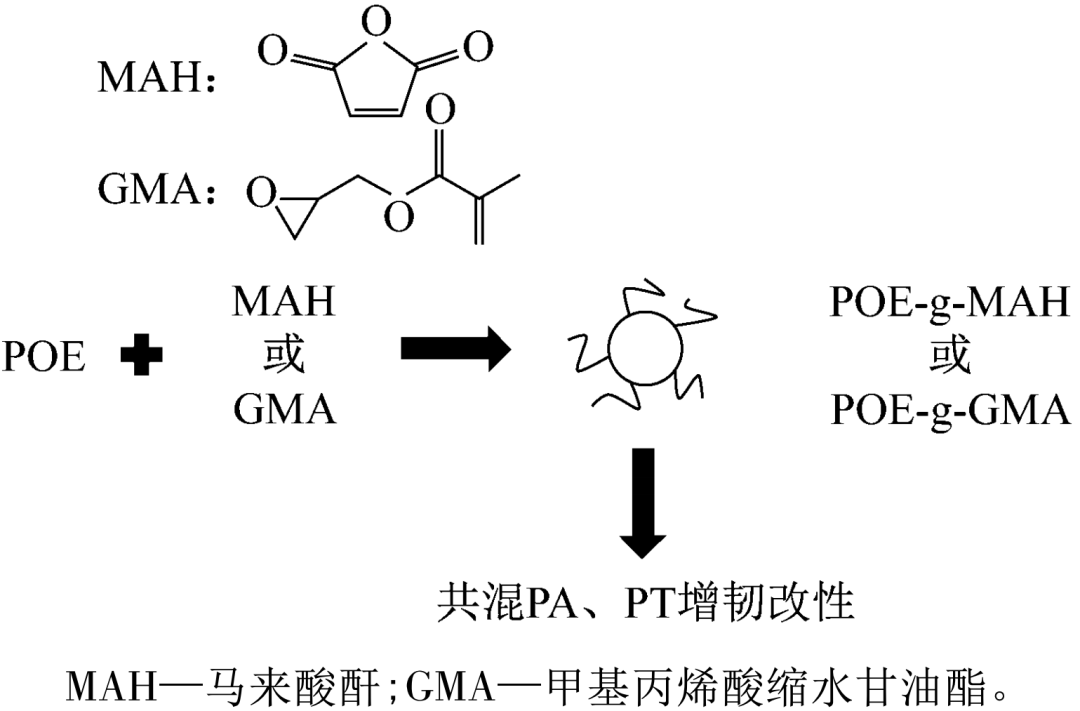 The application after POE grafting is mainly to toughen and modify PA and polyester polymers