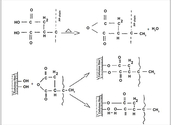 Vorteile der Maleinsäureanhydrid-Pfropfung