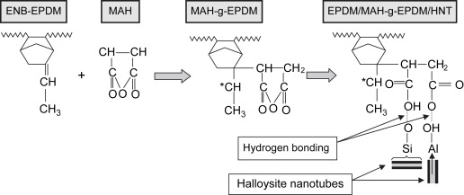 EPDM-g-MAH