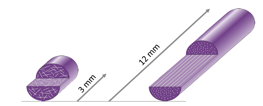 Long and short Glass Fiber Reinforced Nylon