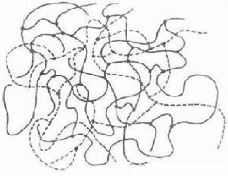 Interpenetrating Polymer Network (IPN) Model