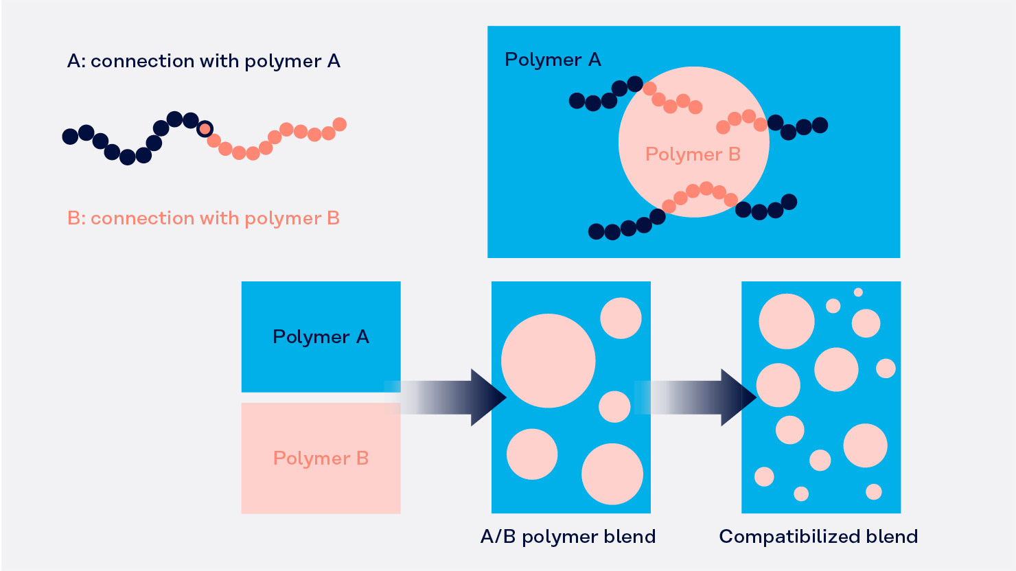 Polymer Blend Modification